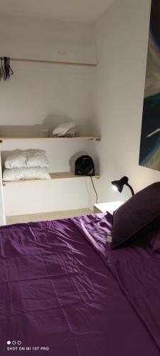 Apartamento Violet Parrot San Antonio
