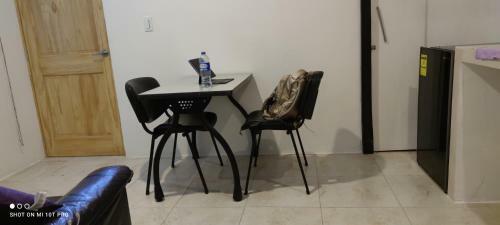 Apartamento Violet Parrot San Antonio