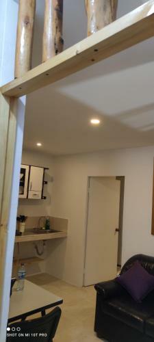 Apartamento Violet Parrot San Antonio