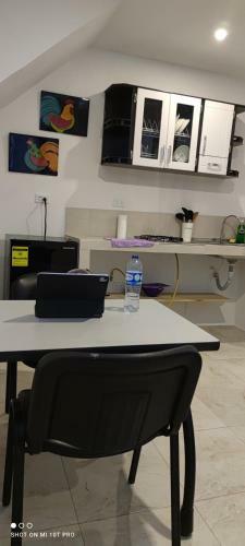 Apartamento Violet Parrot San Antonio