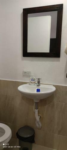 Apartamento Violet Parrot San Antonio
