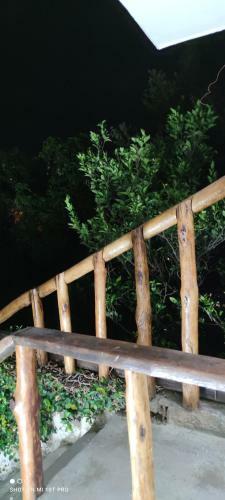 Apartamento Violet Parrot San Antonio