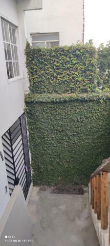 Apartamento Violet Parrot San Antonio