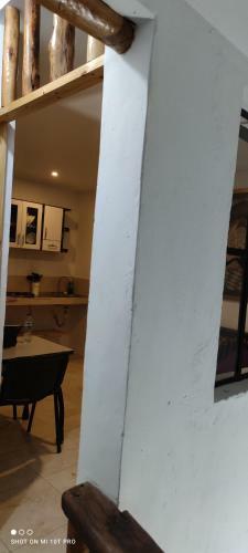 Apartamento Violet Parrot San Antonio