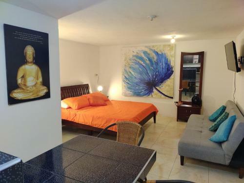 Apartamento Orange Parrot San Antonio