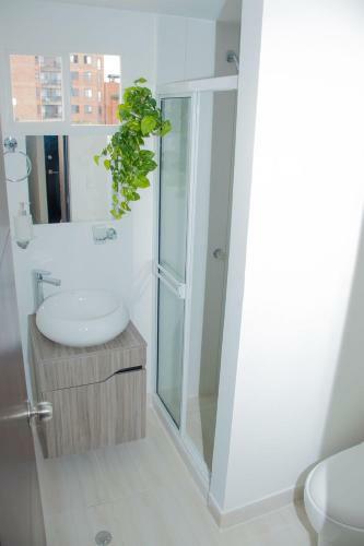 Hotel Ingenio