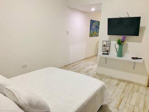 Apartamento San Fernando 102
