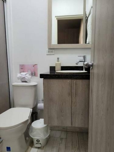 Apartamento San Fernando 102