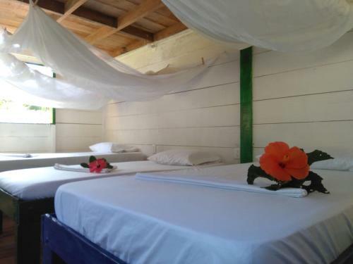 Albergue Hostal Doble Vista