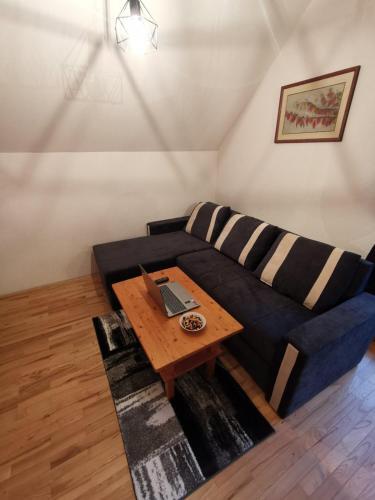 Apartma Pohorje Bolfenk 5011