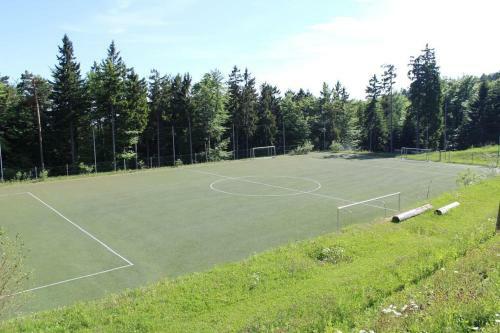 Apartma Pohorje Bolfenk 5011