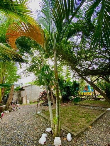 Hostal White Black Zona De Camping