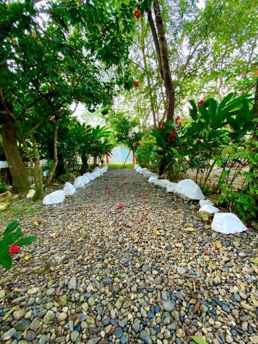 Hostal White Black Zona De Camping