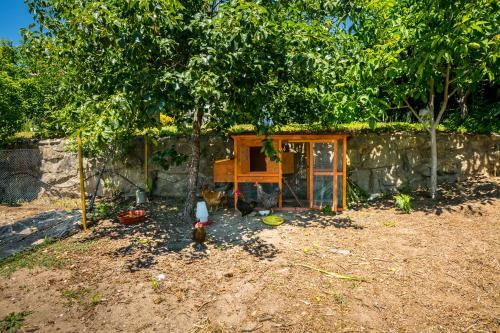Casa De Campo - Olive House