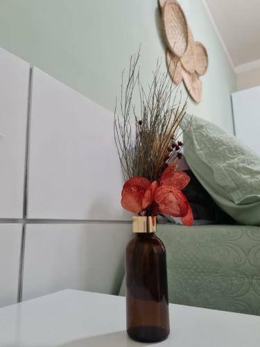 Apartamento 2 Quartos No Condom�nio Vila Do Mar, At� 6 Pessoas