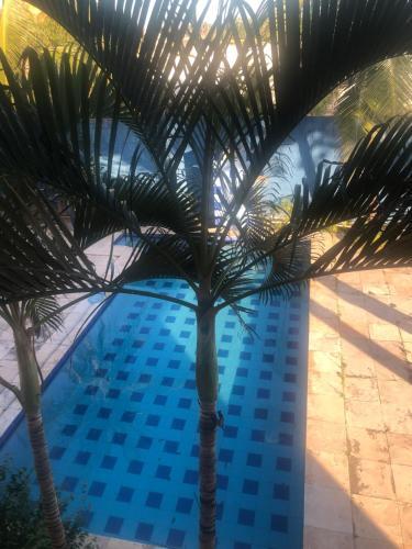 Posada Pousada Passaros Beach Park 2