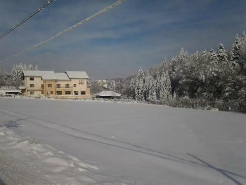 Hostal Pensiunea Diva