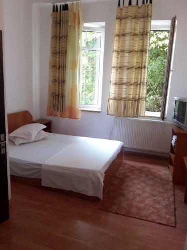Hostal Vila Ana L?cr?mioara Concept
