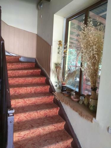 Hostal Vila Ana L?cr?mioara Concept