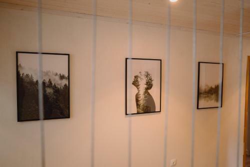 Treeline Cabins