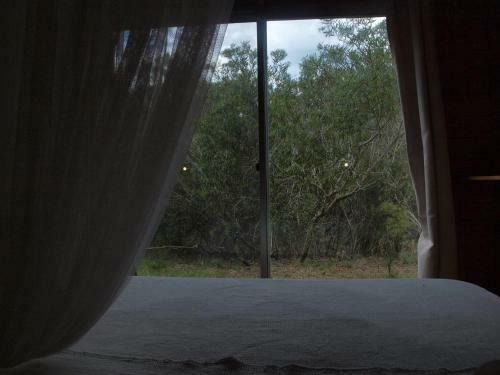 Apartamento Punta Rubia Natiivo