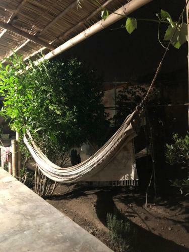 Vive - Casa Huerta