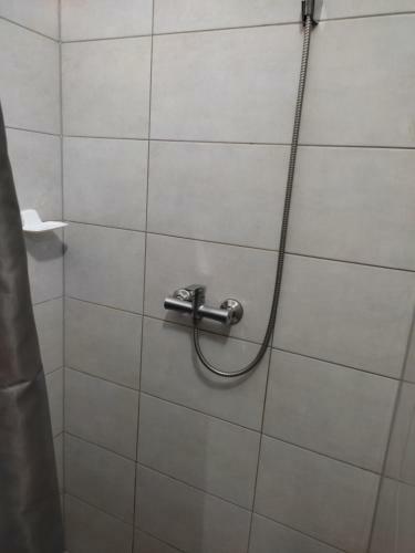 Albergue ?????????