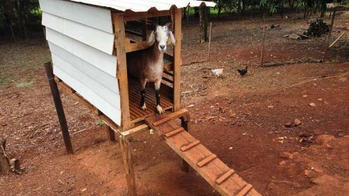 Fazenda Liberdade