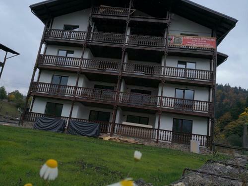 Apartament Golden Rose 2