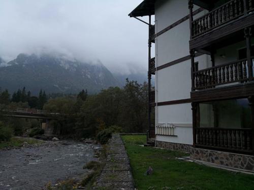 Apartament Golden Rose 2