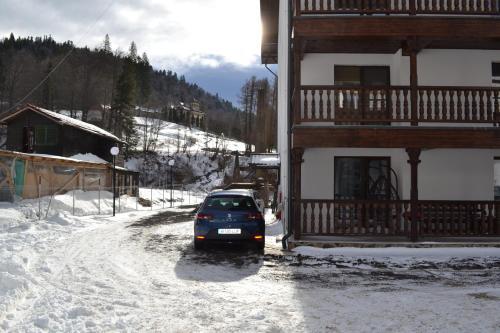 Apartament Golden Rose 2