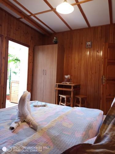 Hostal Casa Rodica Str. Clabucetului 28