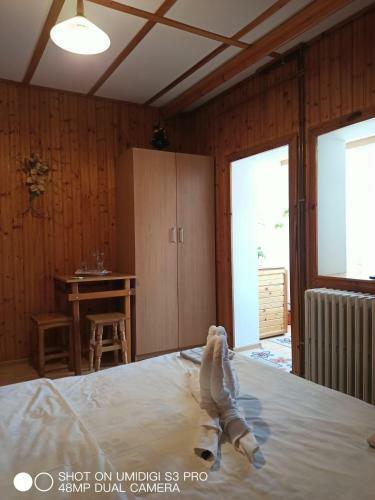 Hostal Casa Rodica Str. Clabucetului 28