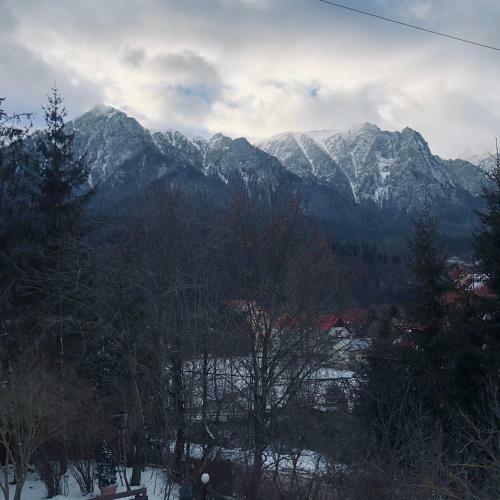 Villa Bohemian Chalet