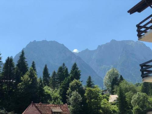 Apartament Extralarge