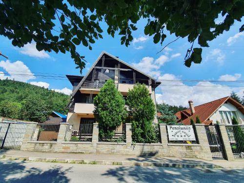Hostal Pensiunea Public House