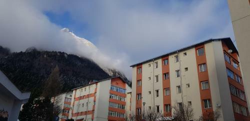 Apartament Silva Busteni
