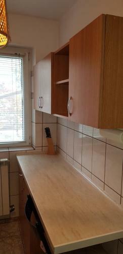 Apartament Silva Busteni