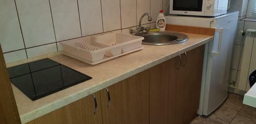 Apartament Silva Busteni