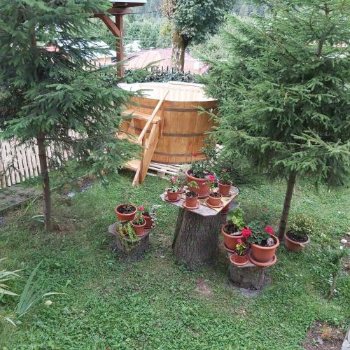 Lodge Pensiunea Premium Travel