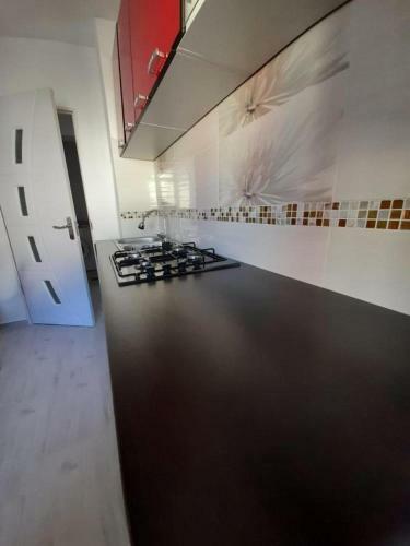 2 Rooms Apartment Telecabinei Busteni