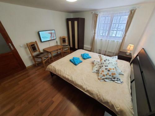 Hostal Bucegi View