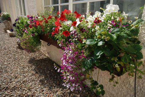 Hydrangea Cottage