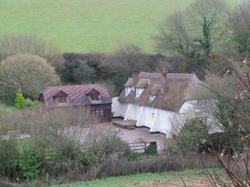 Rocombe Thatch