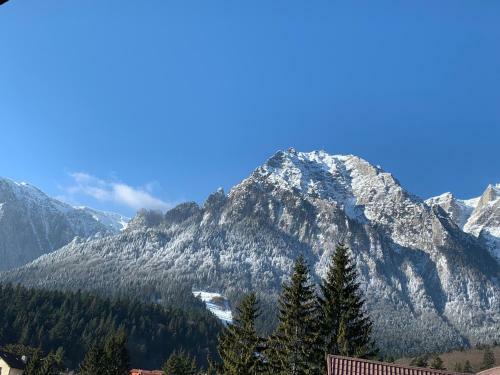Villa Vila Vlad Tepes