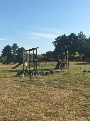 Apartamento Monoambiente Campestre
