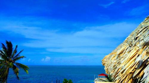 Apartamento Coconut Beach Caye Caulker