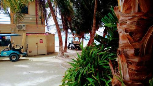 Apartamento Coconut Beach Caye Caulker