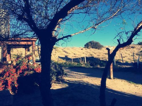Apartamento El Canto De La Ballena Loft