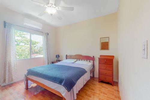 Apartamento De Real Macaw